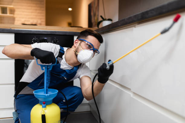 Pest Control Cost in Kemp, TX