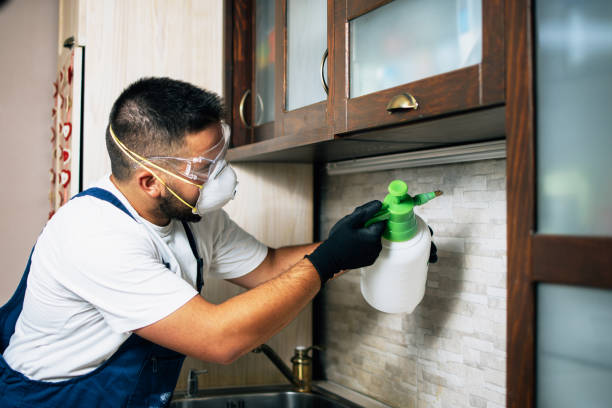 Trusted Kemp, TX Pest Control Experts