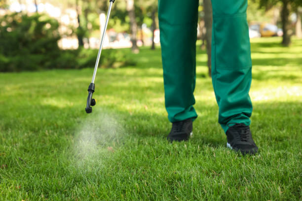 Best Pest Prevention Services  in Kemp, TX
