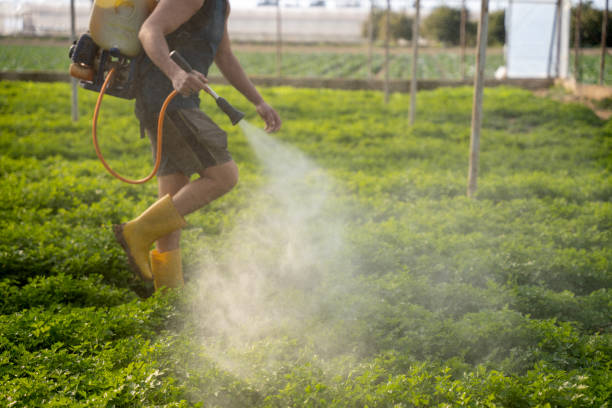 Best Pest Inspection Near Me  in Kemp, TX