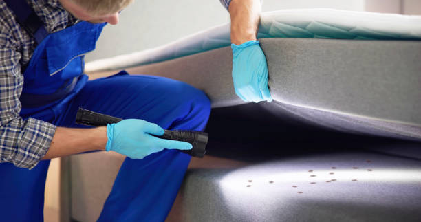 Best Residential Pest Control  in Kemp, TX