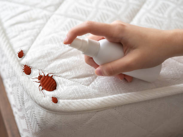 Best Local Pest Control Services  in Kemp, TX