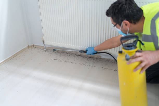 Pest Prevention Services in Kemp, TX