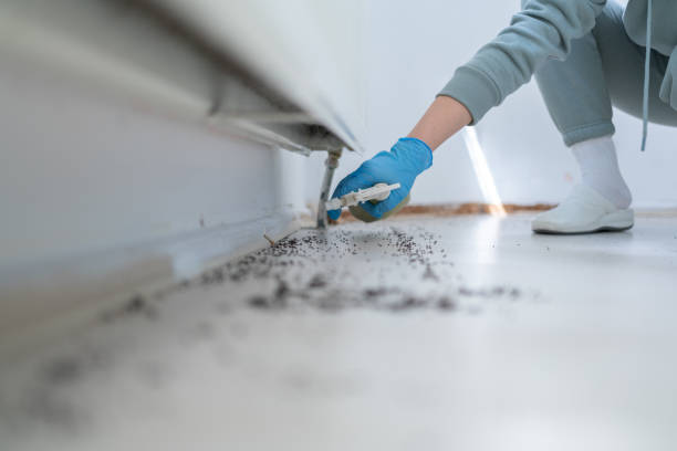 Best Residential Pest Control  in Kemp, TX
